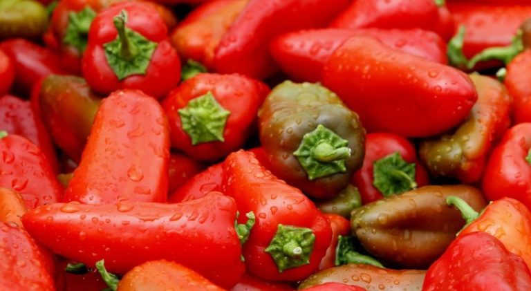 Me pesticide të rrezikshme, specat e importuara nga Shqipëria tërhiqen nga tregu në Slloveni